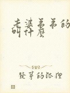 老婆弟弟的女儿叫什么