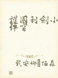护国利剑小说无弹窗