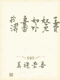 我妻如奴王琳和涛番外免费阅读