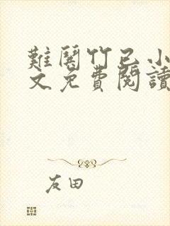 难哄竹已小说原文免费阅读