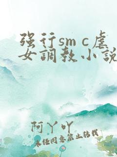 强行sm c虐女调教小说