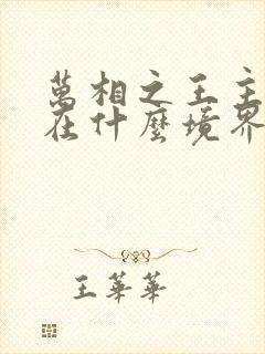 万相之王主角现在什么境界