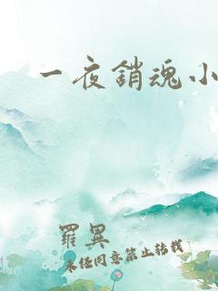 一夜销魂小说