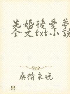 先婚后爱梦筱二全文txt小说下载