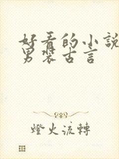 好看的小说女扮男装古言