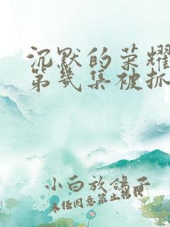 沉默的荣耀聂曦第几集被抓