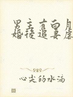 男主有白月光的婚后追妻虐文