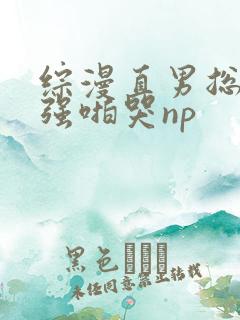 综漫直男总受被强啪哭np