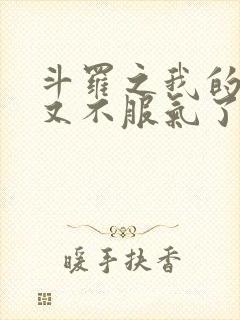 斗罗之我的系统又不服气了txt小说下载