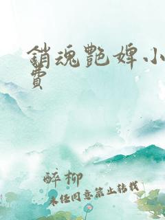 销魂艳婢小说免费