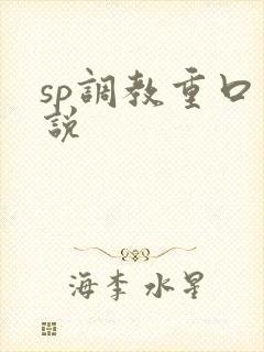 sp调教重口小说