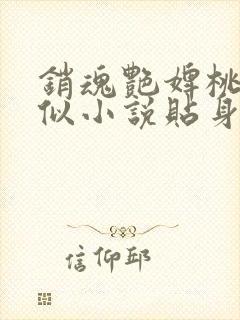 销魂艳婢桃儿类似小说贴身丫鬟