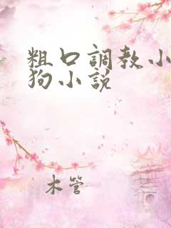 粗口调教小骚母狗小说
