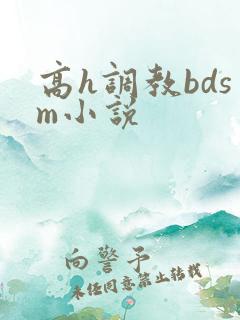 高h调教bdsm小说