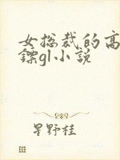 女总裁的高冷保镖gl小说