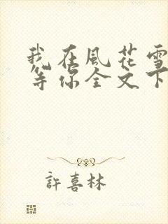 我在风花雪月里等你全文下载txt下载