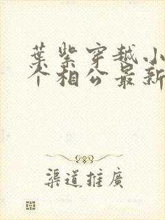 叶紫穿越小说五个相公最新章节