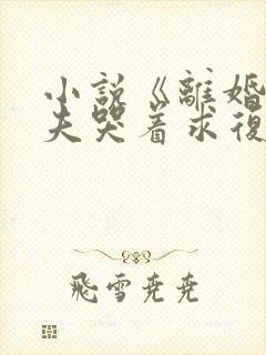 小说《离婚后前夫哭着求复婚》