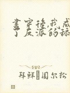 书穿后,我成为了反派的舔狗txt