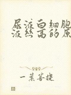 尿液白细胞和粘液丝高的原因