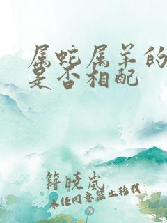 属蛇属羊的婚姻是否相配