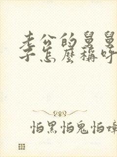 老公的舅舅我儿子怎么称呼