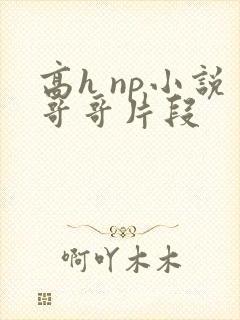 高h np小说哥哥片段