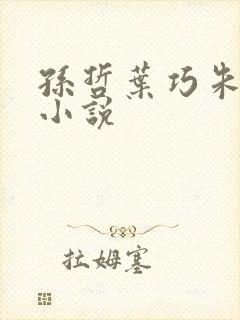 孙哲叶巧朱颜的小说