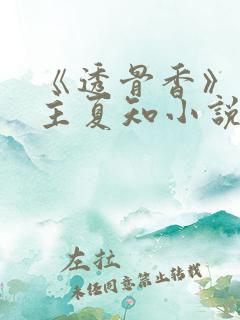 《透骨香》双男主夏知小说免费阅读