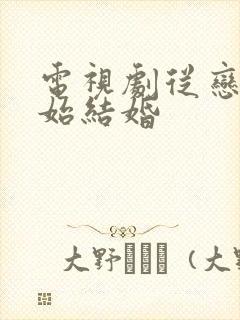 电视剧从恋爱开始结婚