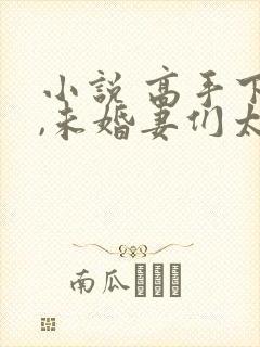小说 高手下山,未婚妻们太妖娆
