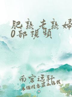 肥熟老熟妇500部视频