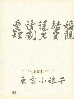 爱情从结婚开始短剧免费观看