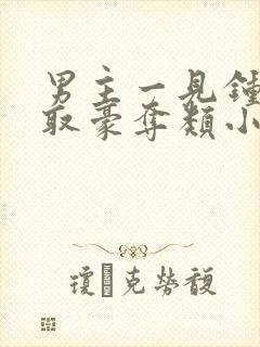 男主一见钟情强取豪夺类小说