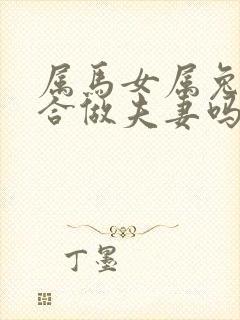 属马女属兔男适合做夫妻吗