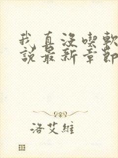 我真没吃软饭小说最新章节