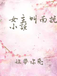 女主叫南挽月的小说
