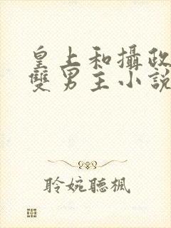 皇上和摄政王的双男主小说