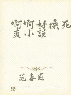 啊啊好操死我了爽小说