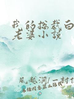 我的总裁白富美老婆小说