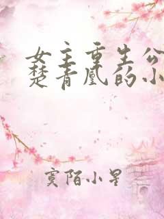 女主重生公主叫楚青凰的小说