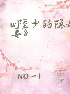 w陆少的隐婚罪妻》
