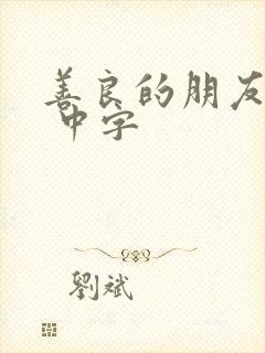 善良的朋友妻子 中字