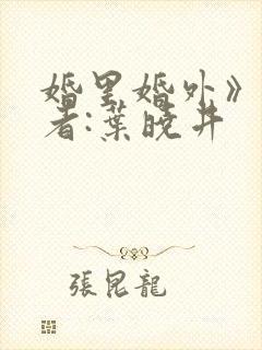 婚里婚外》 作者:叶晓井