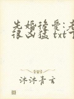 先婚后爱:老公很凶猛 txt下载