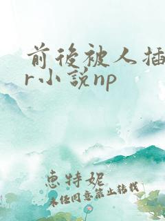 前后被人插ntr小说np