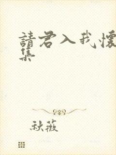 请君入我怀36集