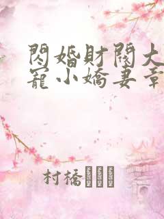 闪婚财阀大叔强宠小娇妻章节