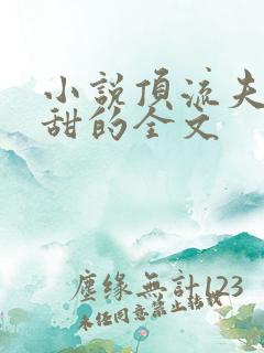 小说顶流夫妇超甜的全文