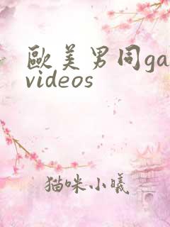 欧美男同gayvideos